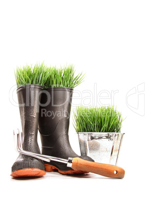 Gummistiefel mit Gras