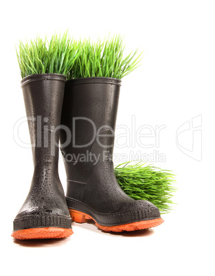 Gummistiefel mit Gras