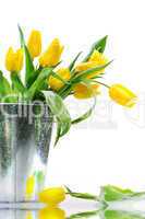 Gelbe Tulpen im Kübel