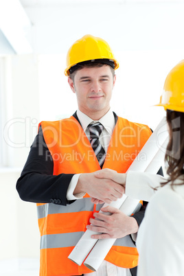 Cute architect discussing with his colleague