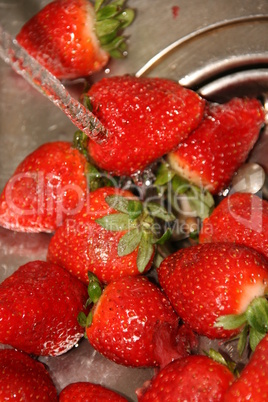 Erdbeeren werden gewaschen