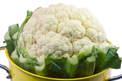 Blumenkohl im Sieb Blumenkohl im Sieb