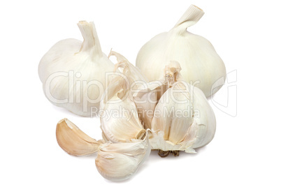 Knoblauch