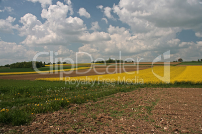 Landwirtschaft