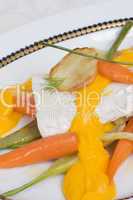 Karottenzander