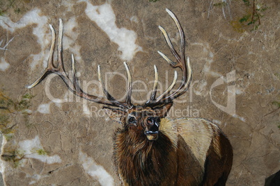 Painting of a trophy elk bugling