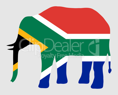 Elefant mit Südafrikaflagge