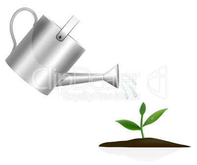 Young plant with watering can