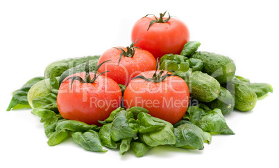 Vivid wet ripe tomatoes