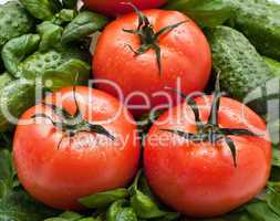 Vivid wet ripe tomatoes