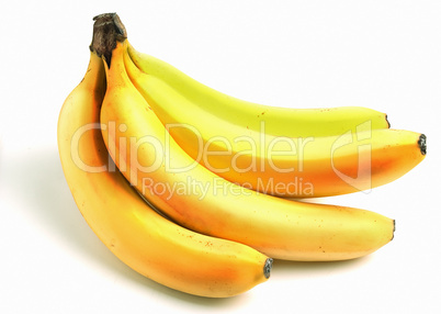 Yellow ripe bananas isolated