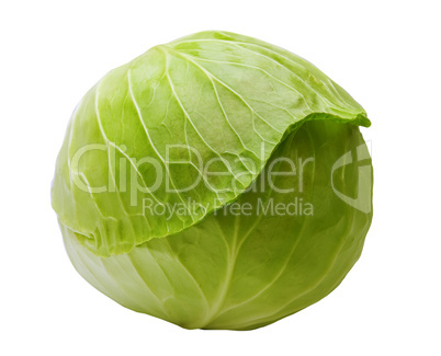 Cabbage is isolated on a white