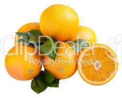 Oranges isolated
