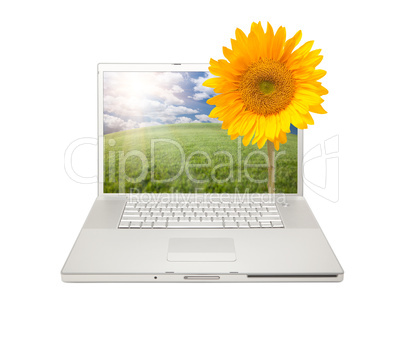 Silver Computer Laptop Isolated with Sunflower