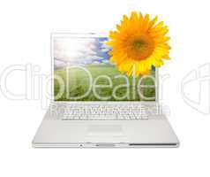 Silver Computer Laptop Isolated with Sunflower