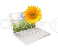 Silver Computer Laptop Isolated with Sunflower