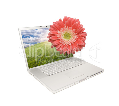 Silver Computer Laptop Isolated with Gerber Daisy