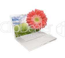 Silver Computer Laptop Isolated with Gerber Daisy