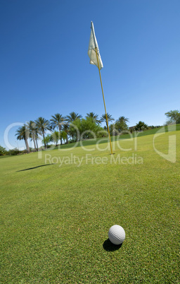 Golf ball ongreen with flag