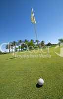 Golf ball ongreen with flag