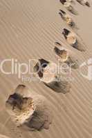 footprints across sand dunes