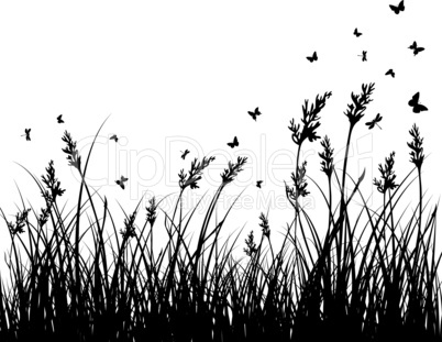 meadow silhouettes