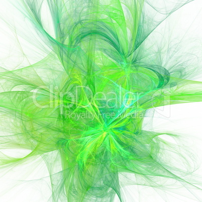 digital fractal on white