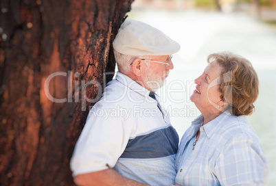 Happy Senior Couple in The Park