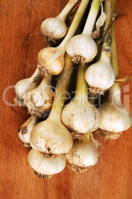 garlic bunch on cutting board