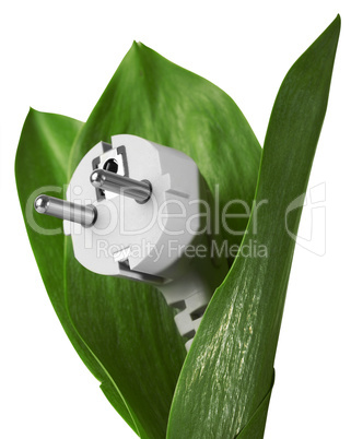 eco energy in a white background
