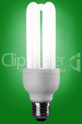 fluorescence lamp of isolated on a green background