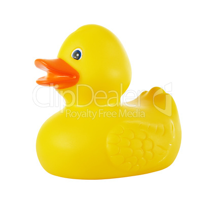 Rubber duck