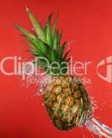 Splash in water with pineapple