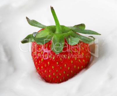 strawberry in sour cream