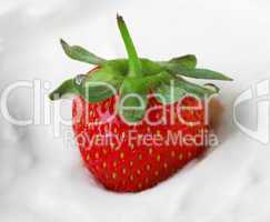 strawberry in sour cream