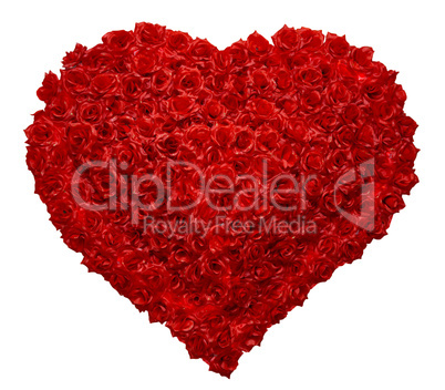 Valentines Day Rose Heart on White Background