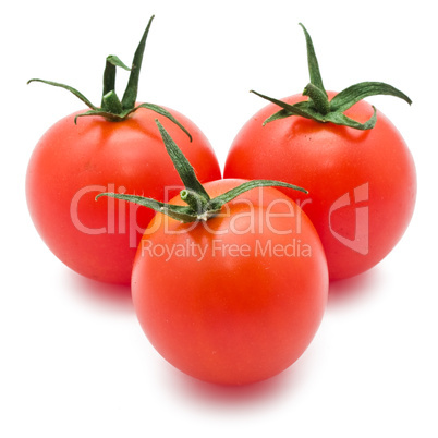 Tomato