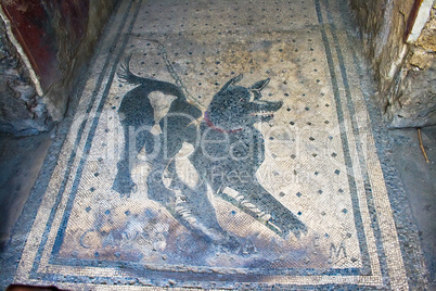 Dog mosaic in Pompeii