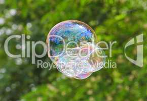 Soap bubble on a floral background