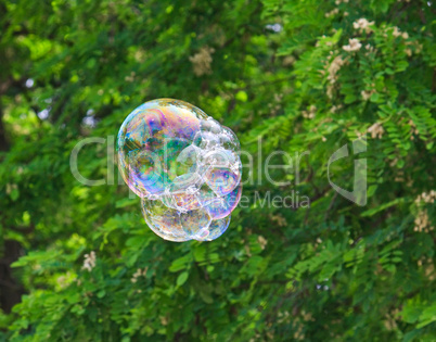 Soap bubble on a floral background