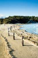 Waterside, Wai-o-Tapu, Rotorua Volcanic Zone, thermal wonderland