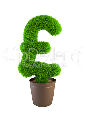 growing pound symbol