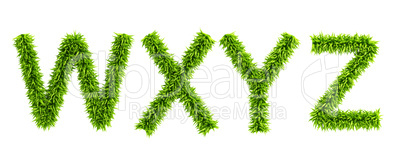 symbolic grassy alphabet