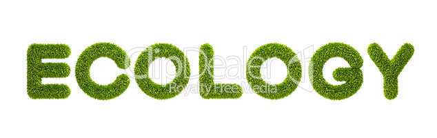 symbolic grassy word "ecology"