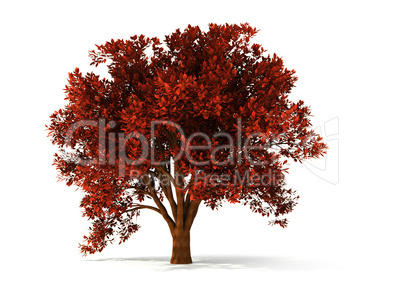 3d autumnal tree