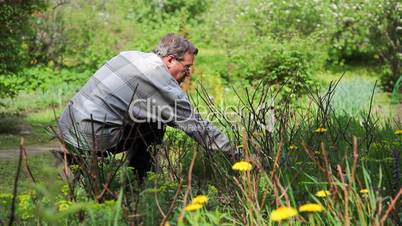 Man work in garden