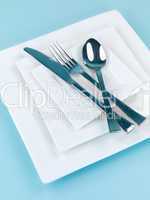 Plates and Cutlery