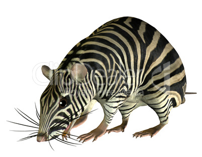 Fantasy Ratte im Zebra Look