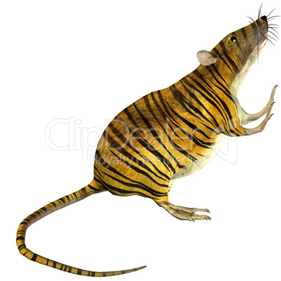 Surreale Ratte mit Tigerfell