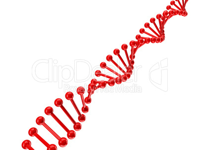 dna structure over white